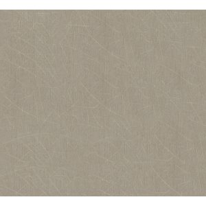 Colani - 53308