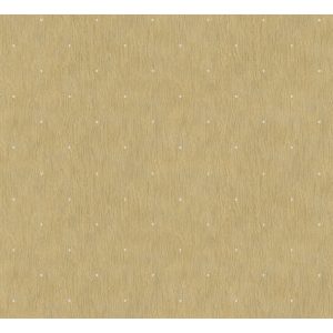 Colani - 53370