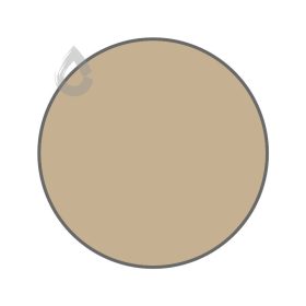 Beige tellin - PPG15-31