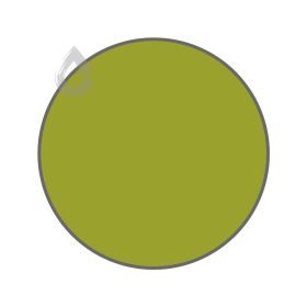 Lichen - PPG1219-7