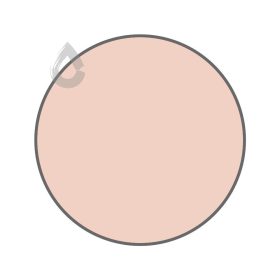 Pale coral - PPG1063-3