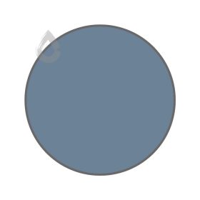 Silver blueberry - PPG1163-5