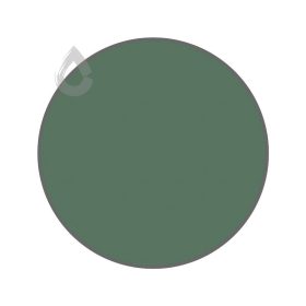 Painted turtle - PPG1133-6