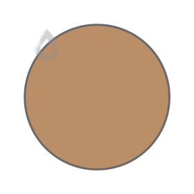 Tropical tan - PPG1080-5