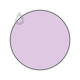 Syrian violet - PPG1250-3