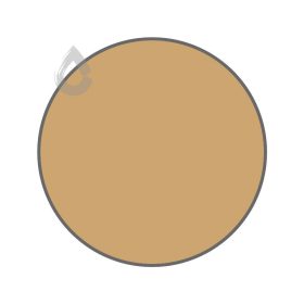 Burnt ivory - PPG15-08