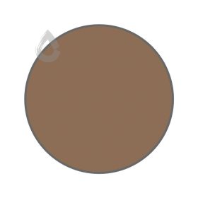 Caravel brown - PPG1079-6