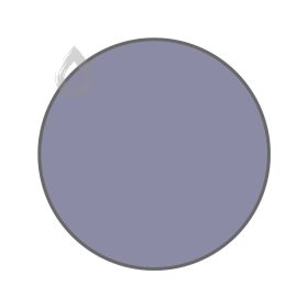 Violet verbena - PPG1169-5