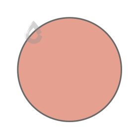 Coral blush - PPG1191-4