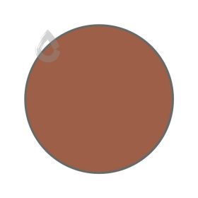 Muted copper - PPG16-30