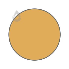 Brown mustard - PPG1208-5