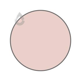 Cameo peach - PPG1058-2