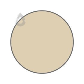 Sand fossil - PPG1098-3