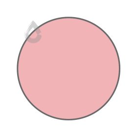 Jaguar rose - PPG1186-3