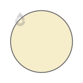 Shiny silk - PPG1206-3