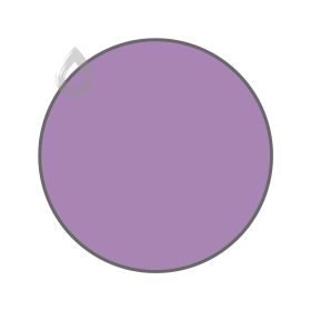 Purple statice - PPG1249-5
