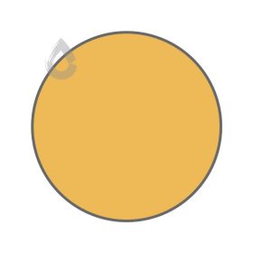 Yellow coneflower - PPG1209-5