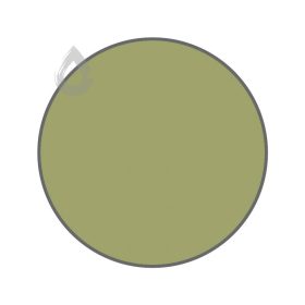 Golden grass - PPG1119-6