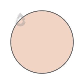 Melon pink - PPG1195-3