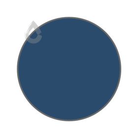 Blue tang - PPG1160-7