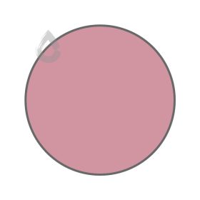 Madagascar pink - PPG1050-4